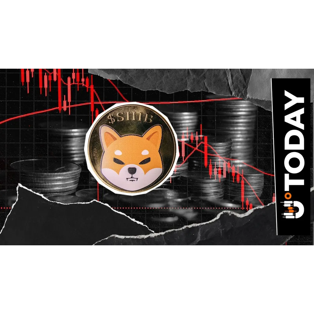 1,235,294,117,647 SHIB Futures Outflow in 24 Hours, What’s Going On? 1,235,294,117,647 SHIB Futures Outflow in 24 Hours, What’s Going On?