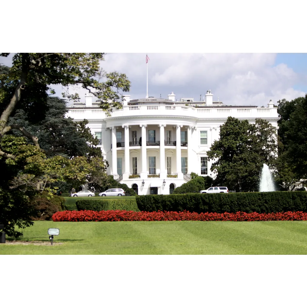 XRP omitted from White House report XRP omitted from White House report