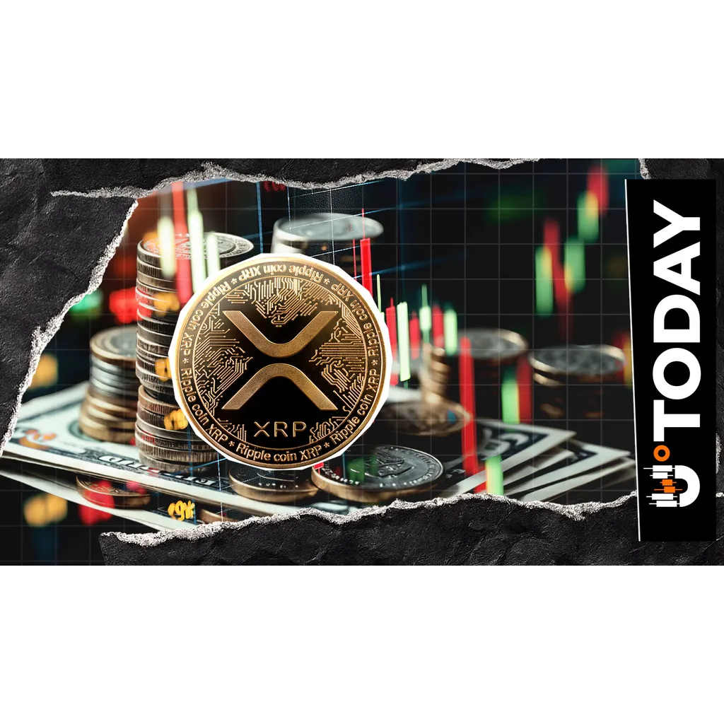 XRP Liquidation Imbalance Jumps 1,278% Amid Short Seller Wipeout XRP Liquidation Imbalance Jumps 1,278% Amid Short Seller Wipeout