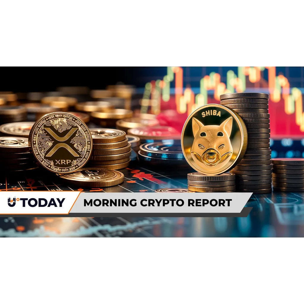 XRP faces massive liquidation imbalance as SHIB loses 0 million in 24 hours XRP faces massive liquidation imbalance as SHIB loses 0 million in 24 hours