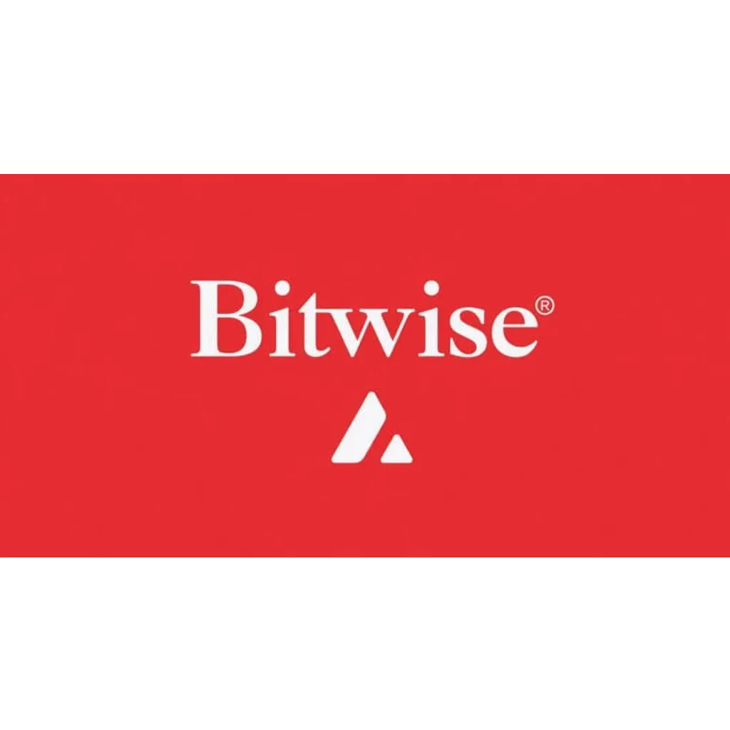 Bitwise CIO makes the case for new AVAX ETF launch Bitwise CIO makes the case for new AVAX ETF launch