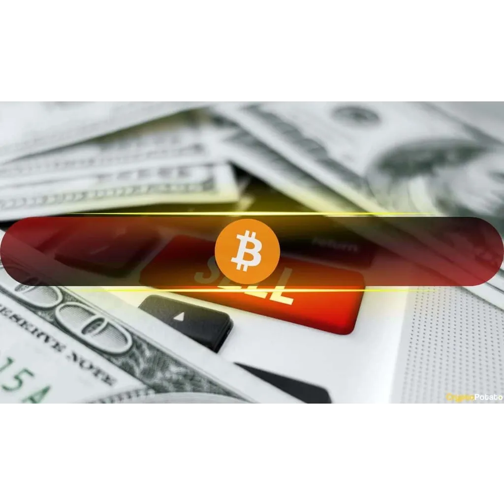 Here’s When Investors Will Stop Selling Bitcoin: Bitwise CEO Here’s When Investors Will Stop Selling Bitcoin: Bitwise CEO
