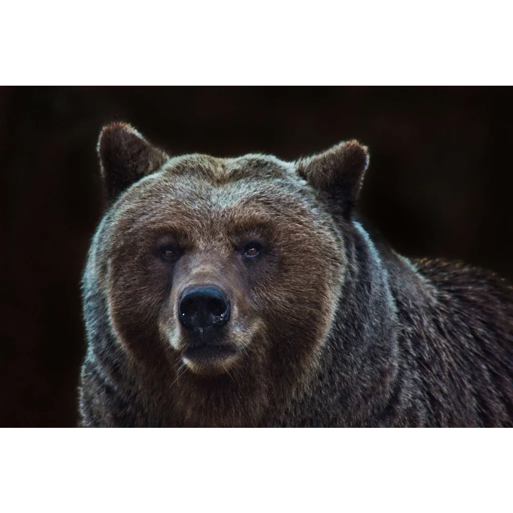 Retail Crypto Sentiment Turns Deeply Bearish as Fear Reaches the Crowd Retail Crypto Sentiment Turns Deeply Bearish as Fear Reaches the Crowd