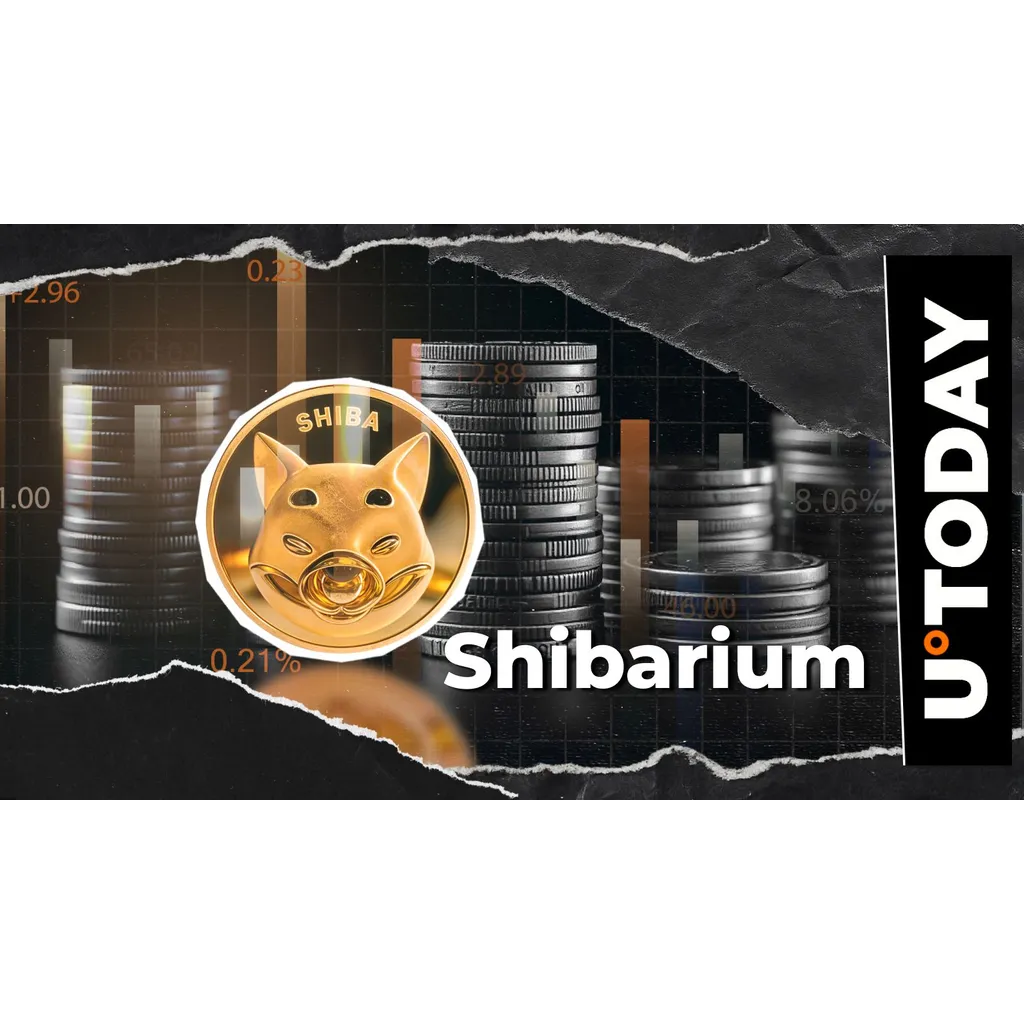 Shibarium adds 10000 transactions in day while growth remains flat Shibarium adds 10000 transactions in day while growth remains flat