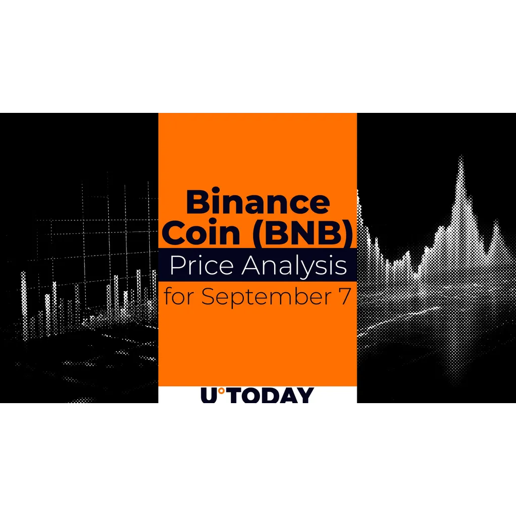 Binance Coin BNB Price Prediction for September 7 Analysis Binance Coin BNB Price Prediction for September 7 Analysis