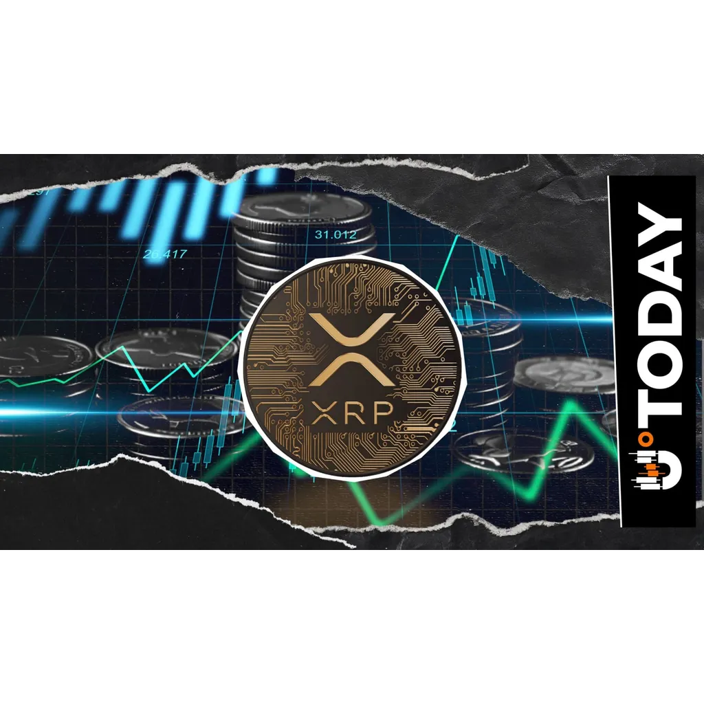 XRP futures activity increases 8 percent during price recovery period XRP futures activity increases 8 percent during price recovery period