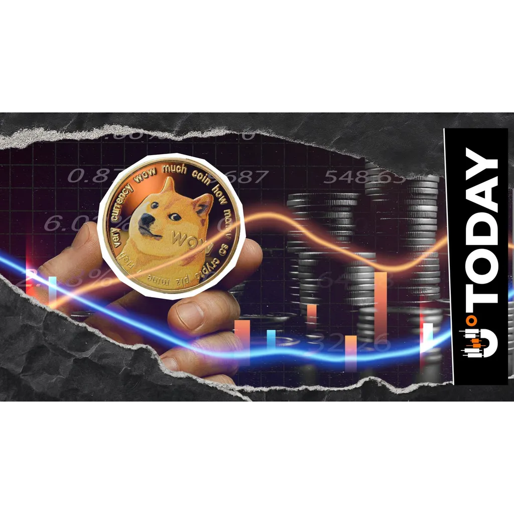 Dogecoin Price Rebound Triggers 779% in Liquidation Imbalance Dogecoin Price Rebound Triggers 779% in Liquidation Imbalance