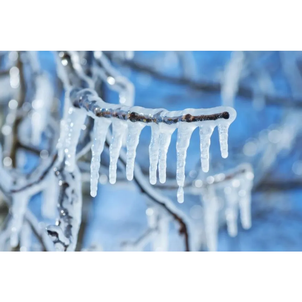 Arbitrum freezes million in ether tied to Kelp DAO exploit Arbitrum freezes million in ether tied to Kelp DAO exploit