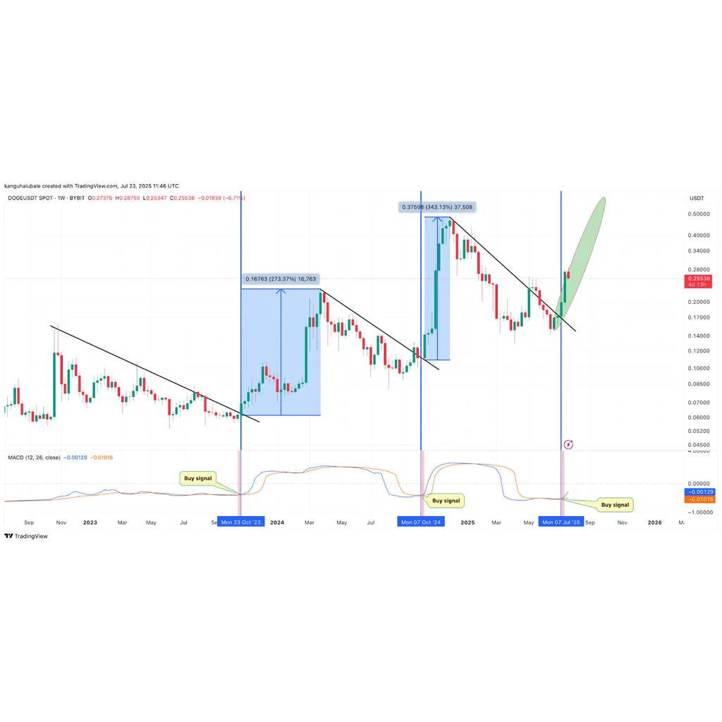DOGE price gained 340% the last time this indicator turned bullish DOGE price gained 340% the last time this indicator turned bullish
