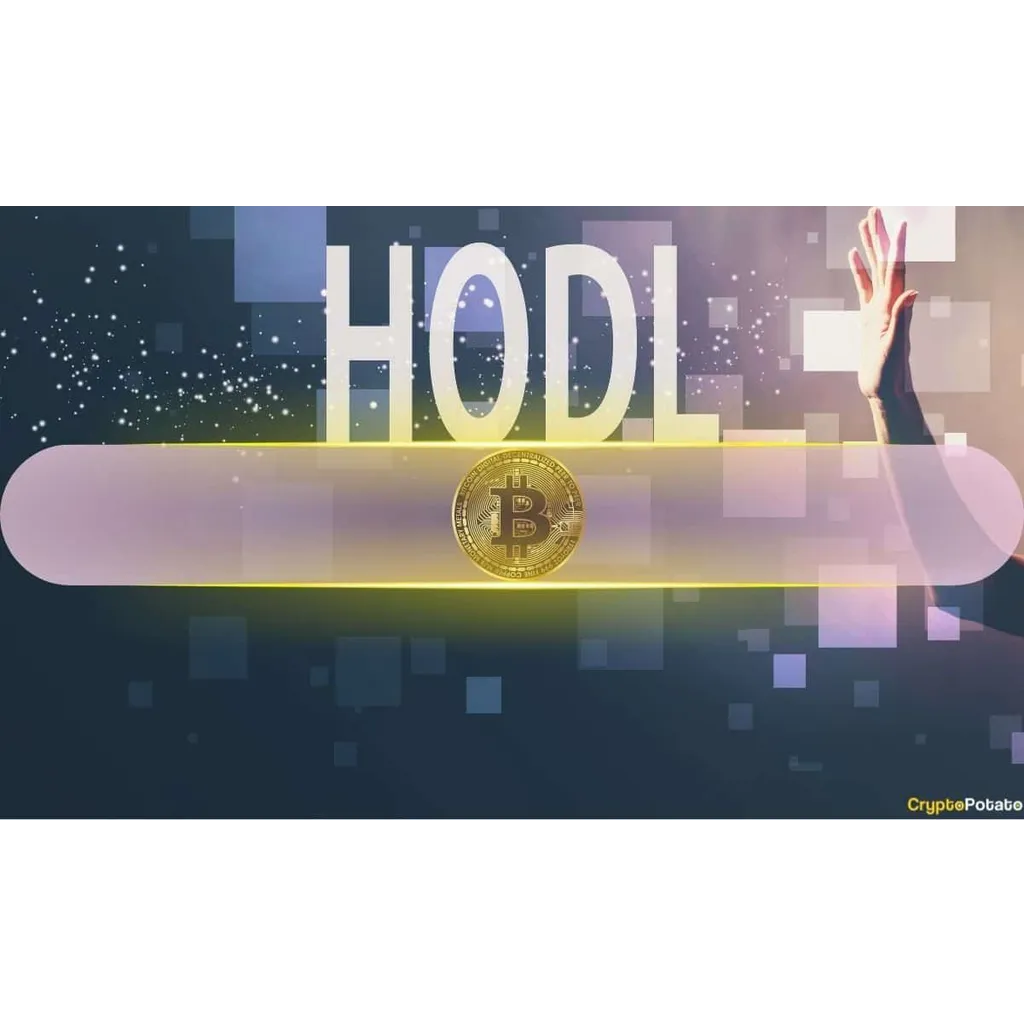Why Bitcoin’s Rising HODL Cohorts Are a Bearish Signal This Time Why Bitcoin’s Rising HODL Cohorts Are a Bearish Signal This Time
