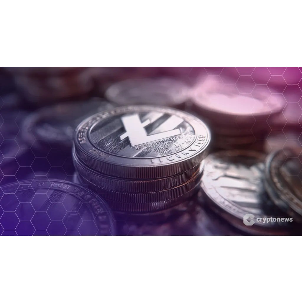 Canary Capital LTC ETF faces delays during government shutdown Canary Capital LTC ETF faces delays during government shutdown