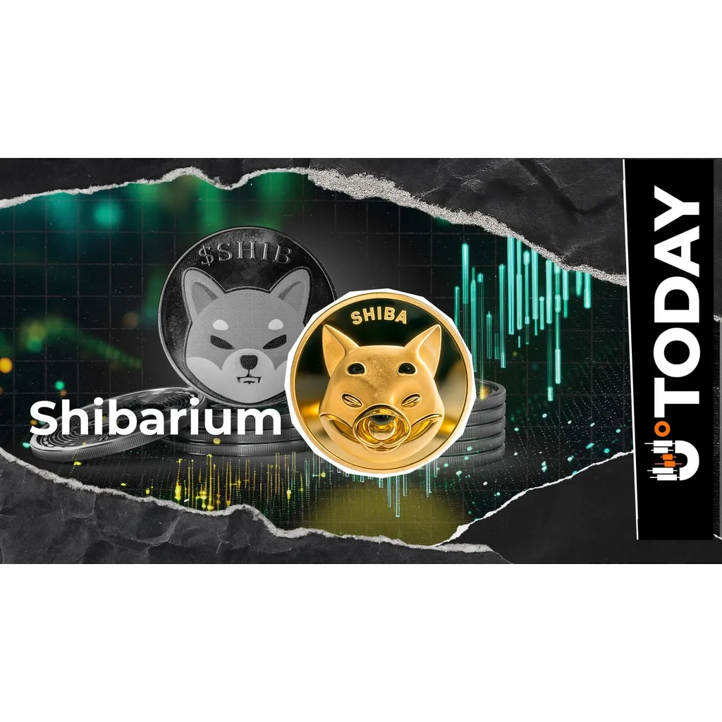 Shiba Inu executive reveals important Shibarium upgrade planned for 2026 Shiba Inu executive reveals important Shibarium upgrade planned for 2026