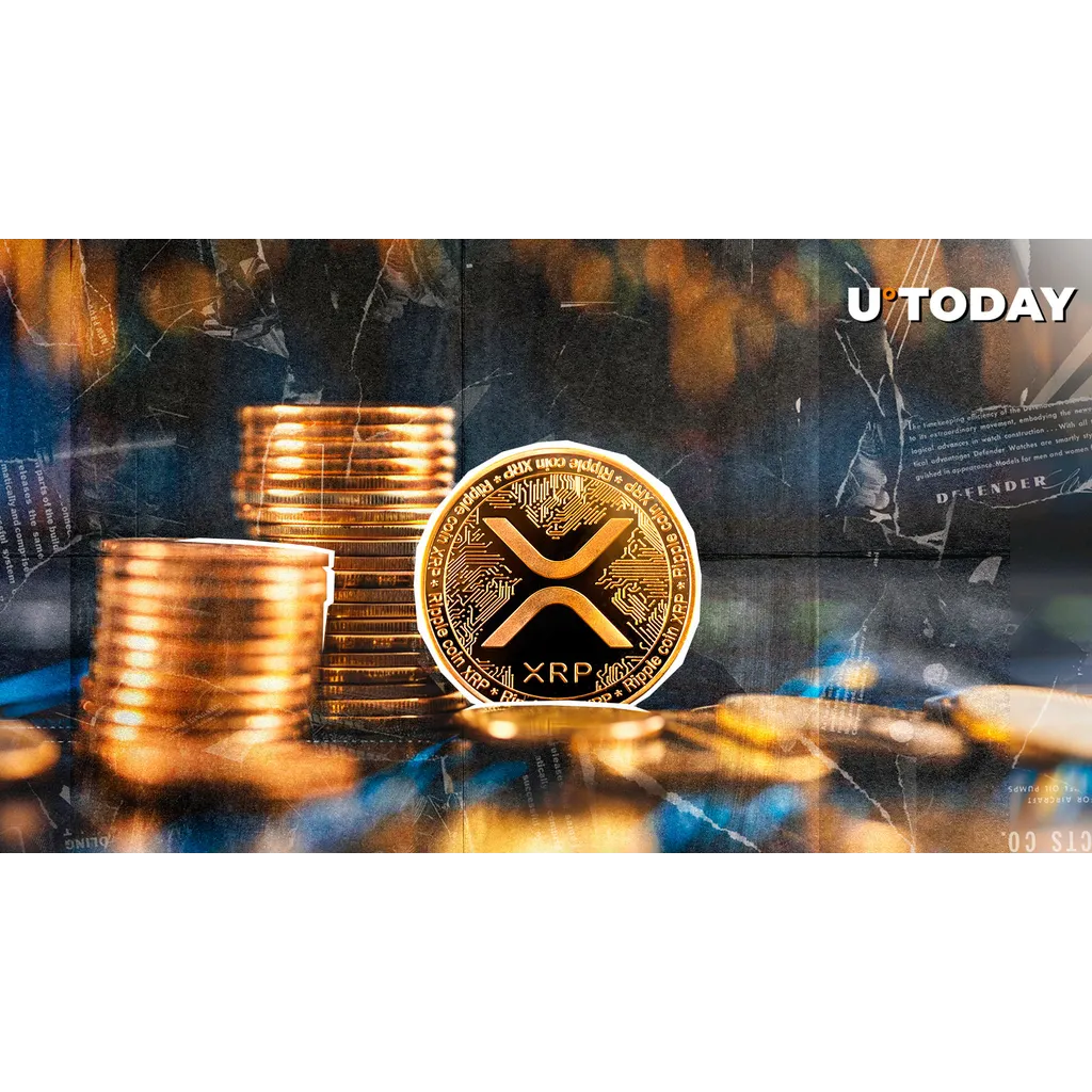 0 XRP Short Liquidations: Market Insight 0 XRP Short Liquidations: Market Insight