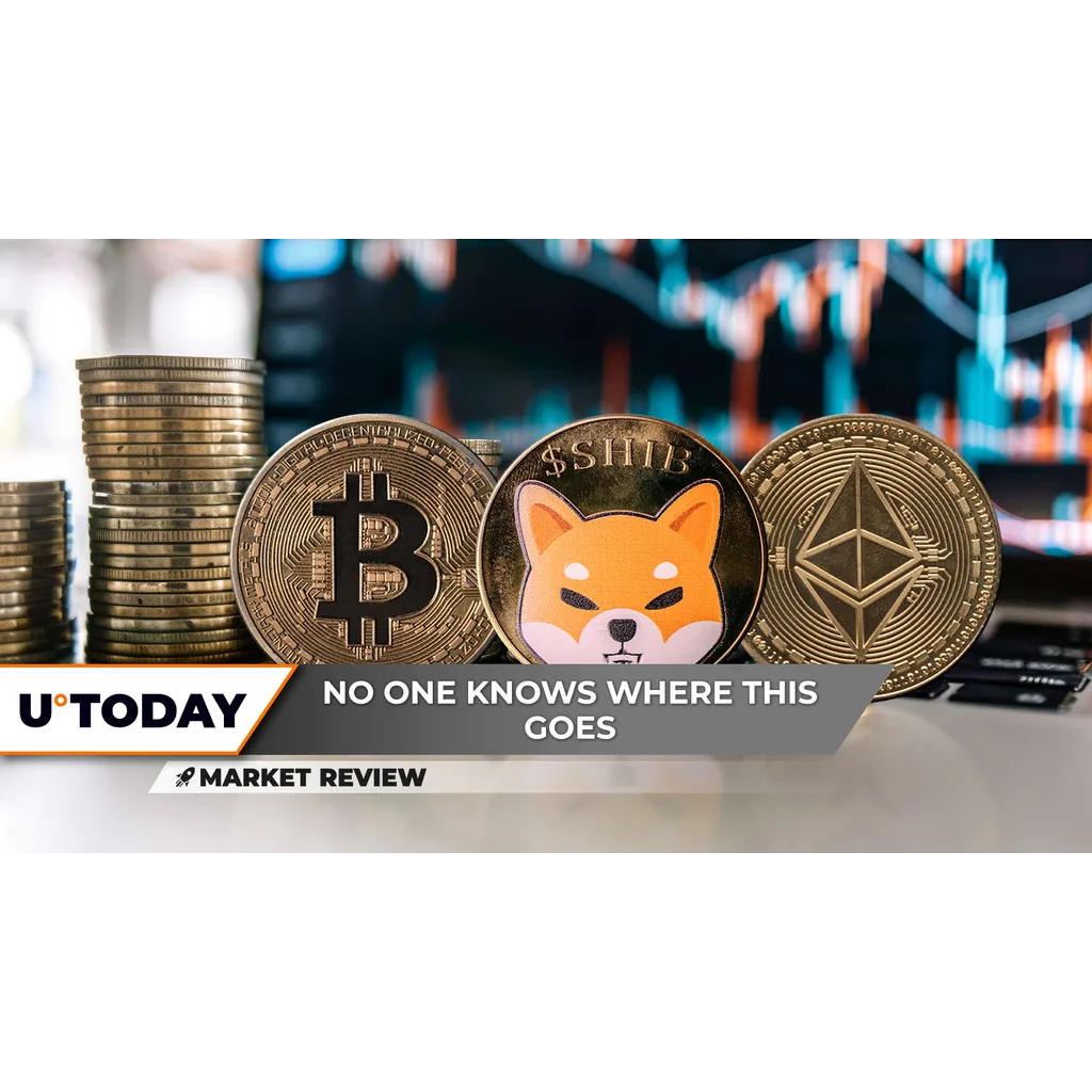 Shiba Inu 2025 breakout anticipated Bitcoin recovery failed Ethereum worst since 4000 Shiba Inu 2025 breakout anticipated Bitcoin recovery failed Ethereum worst since 4000