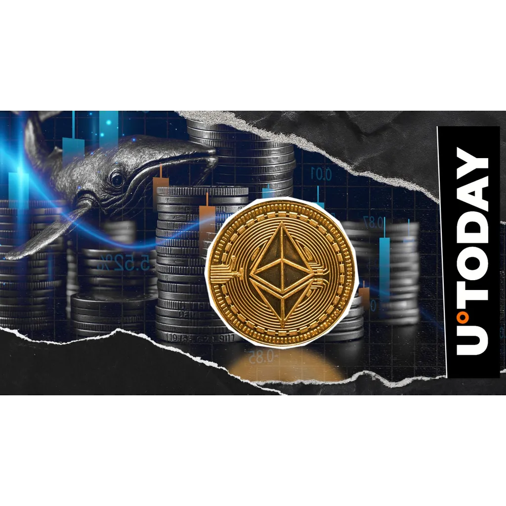 Dormant billion-dollar Ethereum whale account resumes activity after eight years Dormant billion-dollar Ethereum whale account resumes activity after eight years