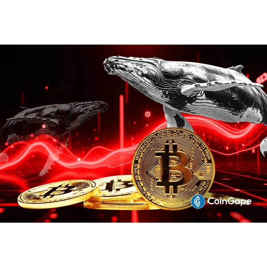 Bitcoin Price Faces Further Crash as Whales Liquidates Recently Bought BTC: Report Bitcoin Price Faces Further Crash as Whales Liquidates Recently Bought BTC: Report