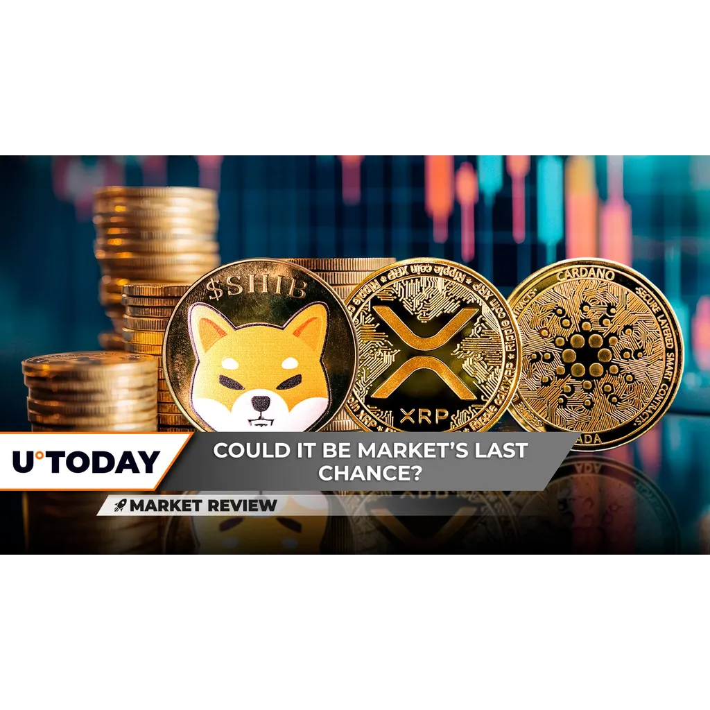Shiba Inu SHIB and Cardano ADA fell over 10% in as XRP awaits SEC ruling. Shiba Inu SHIB and Cardano ADA fell over 10% in as XRP awaits SEC ruling.