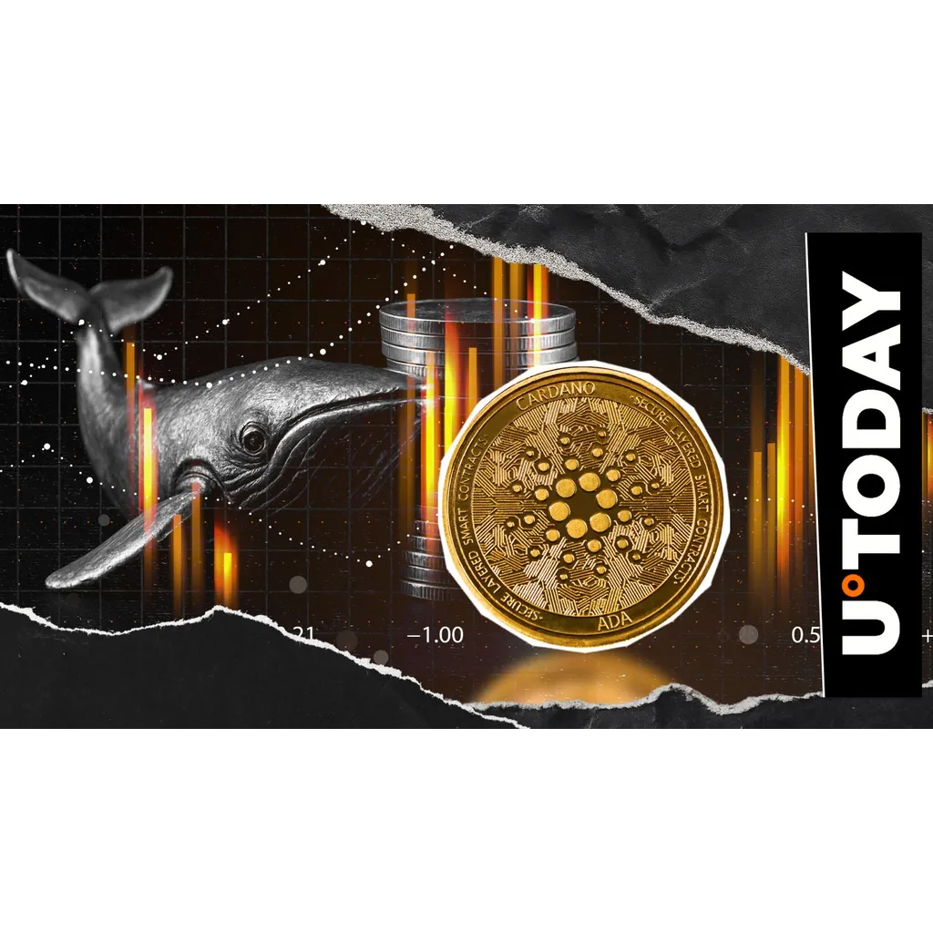 Cardano whales sold 50 million ADA in 48 hours, dropping price 5% amid market volatility. Cardano whales sold 50 million ADA in 48 hours, dropping price 5% amid market volatility.