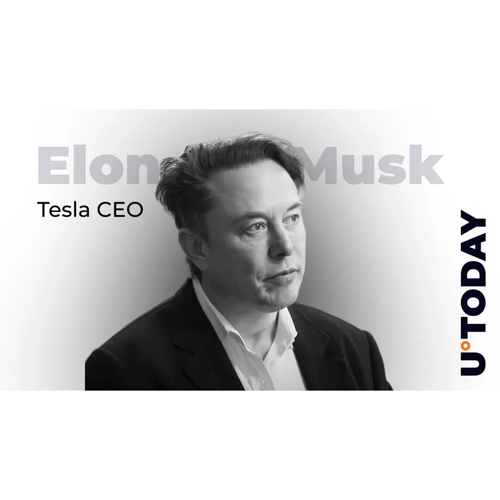 Elon Musk’s 2021 tweet drove Tesla stock up 20% and shook crypto markets Elon Musk’s 2021 tweet drove Tesla stock up 20% and shook crypto markets