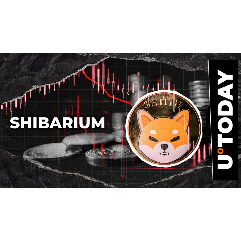 Shiba Inu Coin declines following Shibarium incident Shiba Inu Coin declines following Shibarium incident