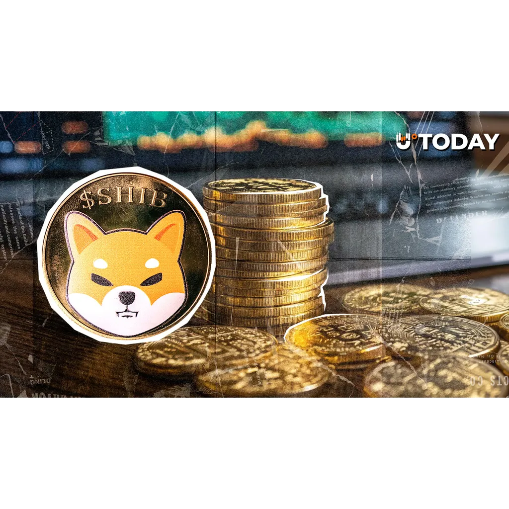 6,000,000 in Shiba Inu (SHIB): Shocking Exchange Reserves Are Not What You Think 6,000,000 in Shiba Inu (SHIB): Shocking Exchange Reserves Are Not What You Think