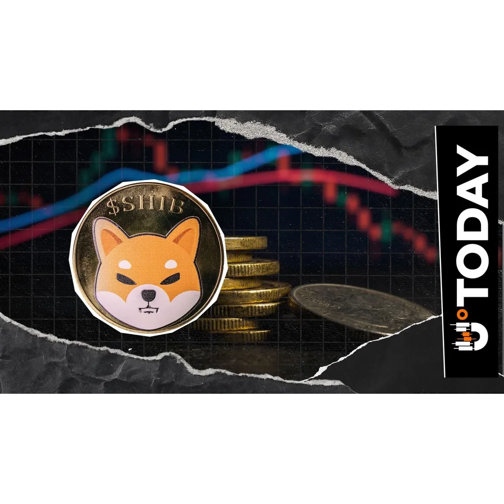 Shiba Inu Open Interest Down 5% Despite SHIB Price Relief Rally Shiba Inu Open Interest Down 5% Despite SHIB Price Relief Rally