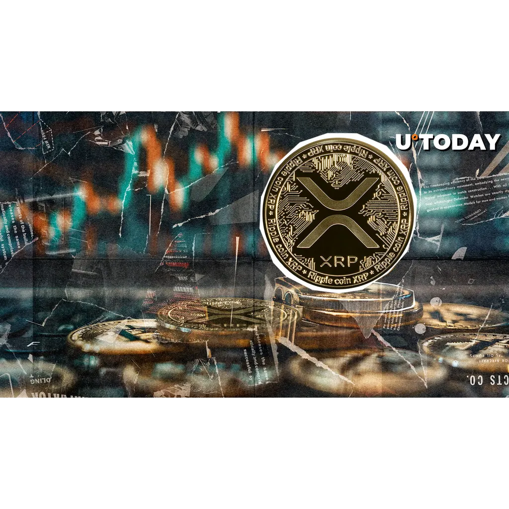 XRP rockets 7,676% in liquidation imbalance XRP rockets 7,676% in liquidation imbalance