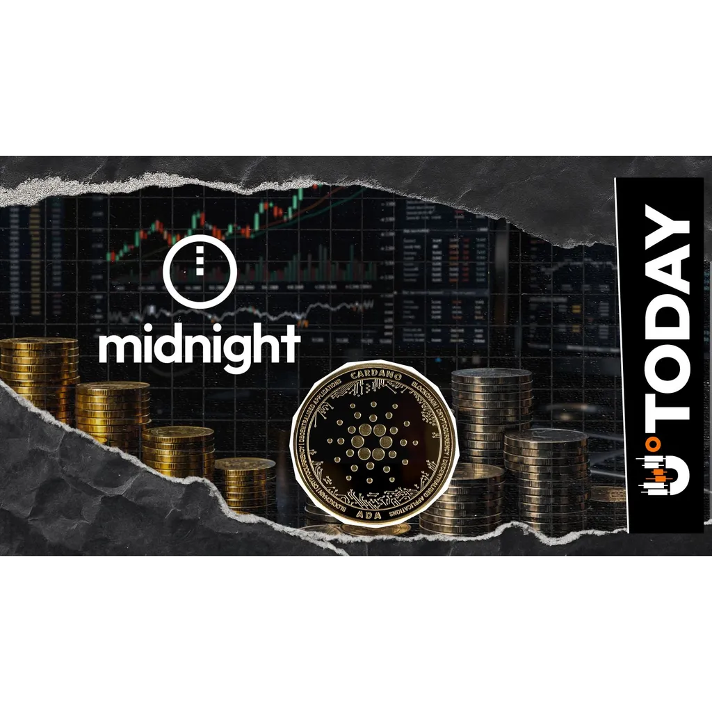 Midnight (NIGHT) Token Picks up Pace: 300% Volume Increase in Seven Days Midnight (NIGHT) Token Picks up Pace: 300% Volume Increase in Seven Days