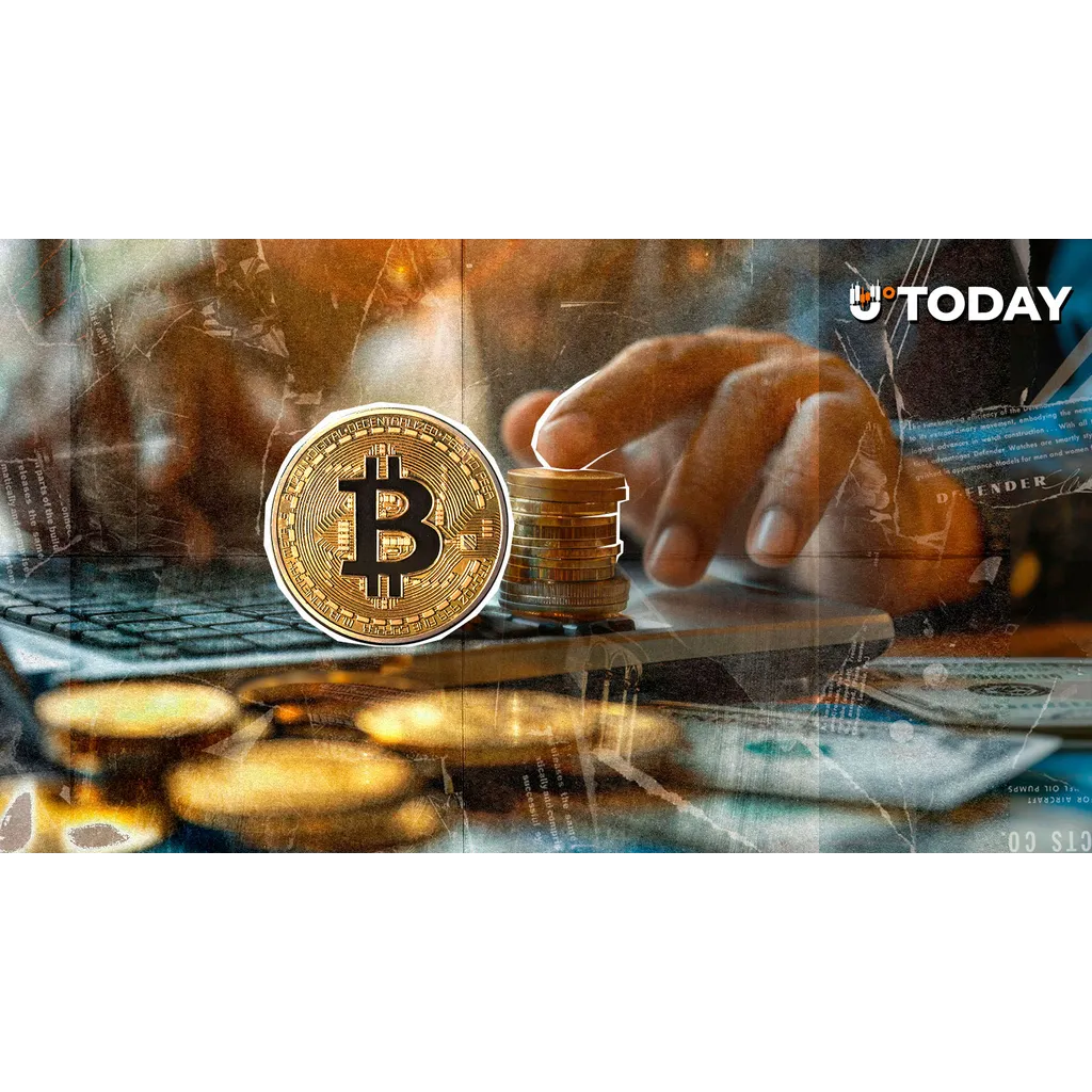 Individual with high IQ buys Bitcoin daily as part of investment strategy Individual with high IQ buys Bitcoin daily as part of investment strategy