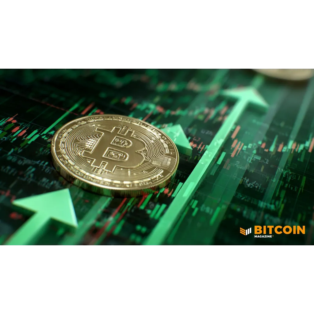 Bitcoin Price Fell In 2025, But Lows Show A Strong Floor Bitcoin Price Fell In 2025, But Lows Show A Strong Floor
