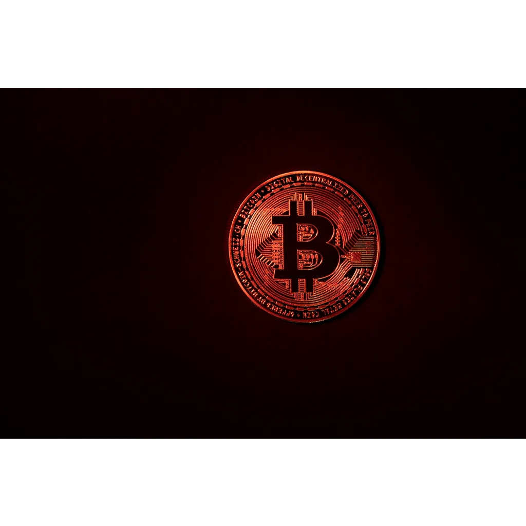 The Bitcoin Bear Market Is Not Coming, And This Is Why The Bitcoin Bear Market Is Not Coming, And This Is Why