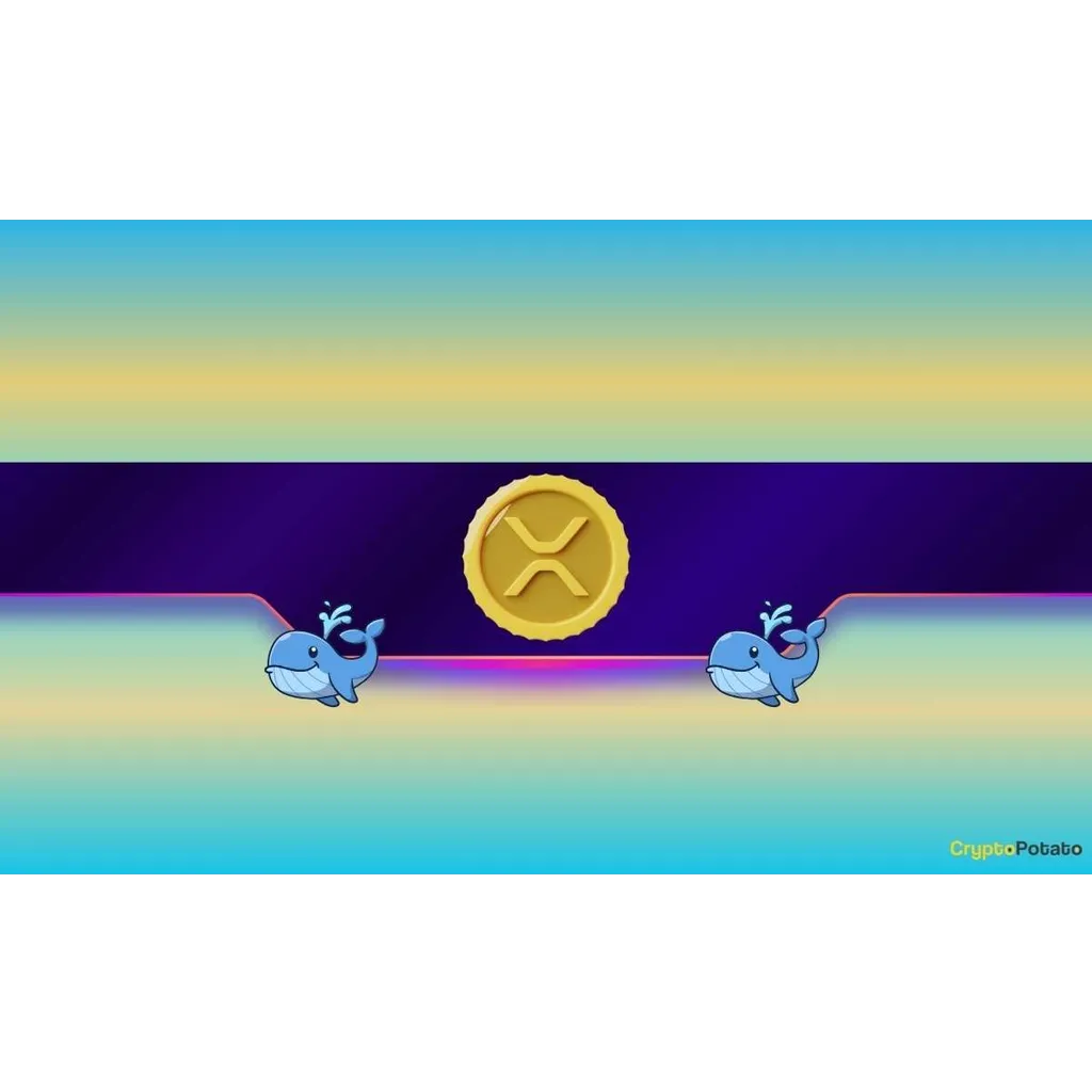 Ripple Whales Take Control of XRP Trading as Key Metric Signals Potential Rally Ripple Whales Take Control of XRP Trading as Key Metric Signals Potential Rally