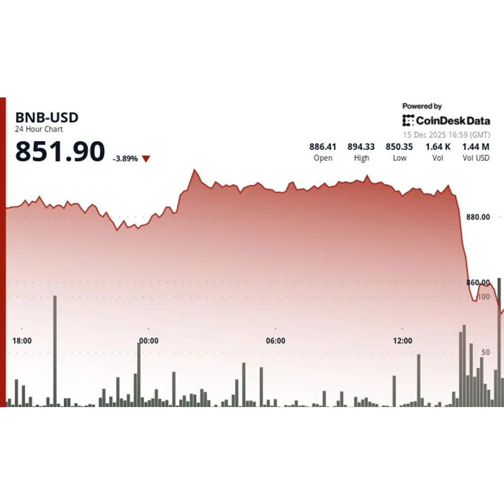 BNB falls below key support as crypto market cap slips toward T BNB falls below key support as crypto market cap slips toward T