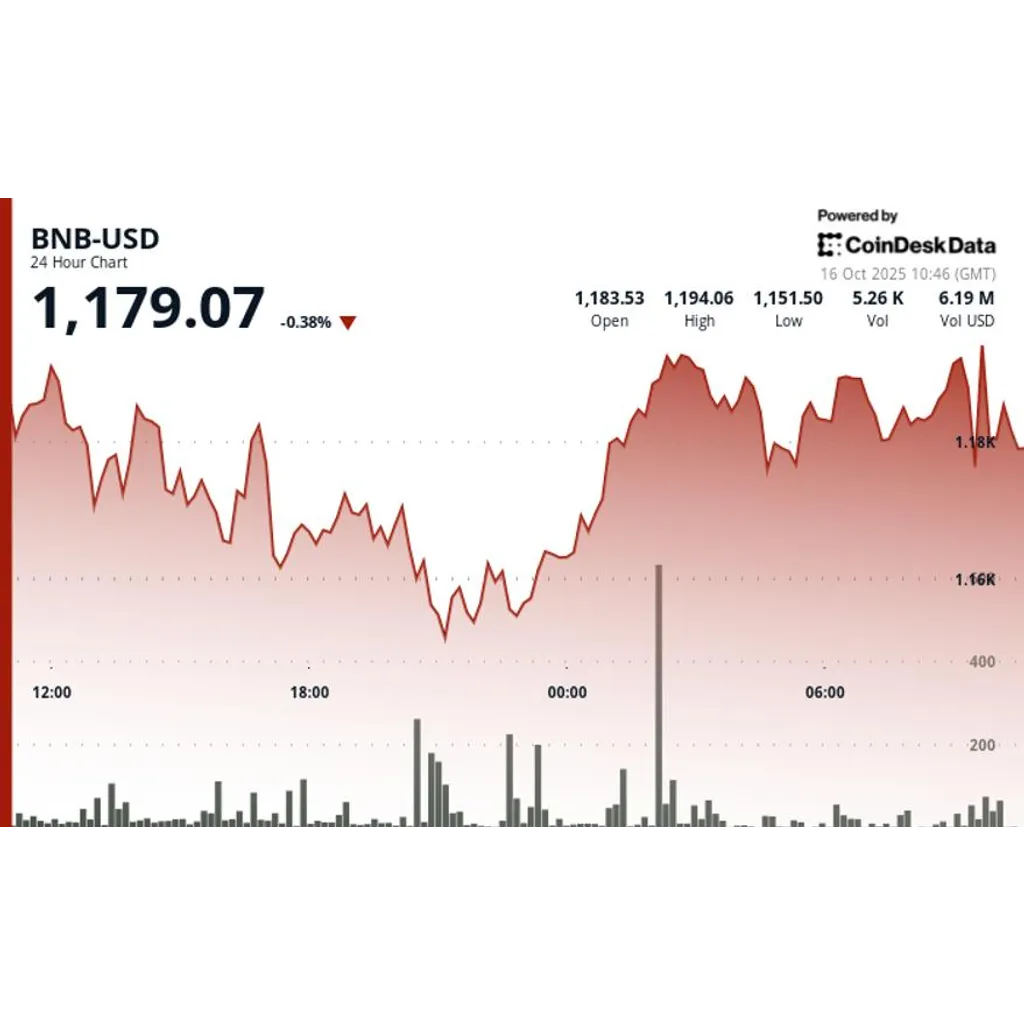 BNB falls 11 percent from record high amid Coinbase roadmap listing BNB falls 11 percent from record high amid Coinbase roadmap listing
