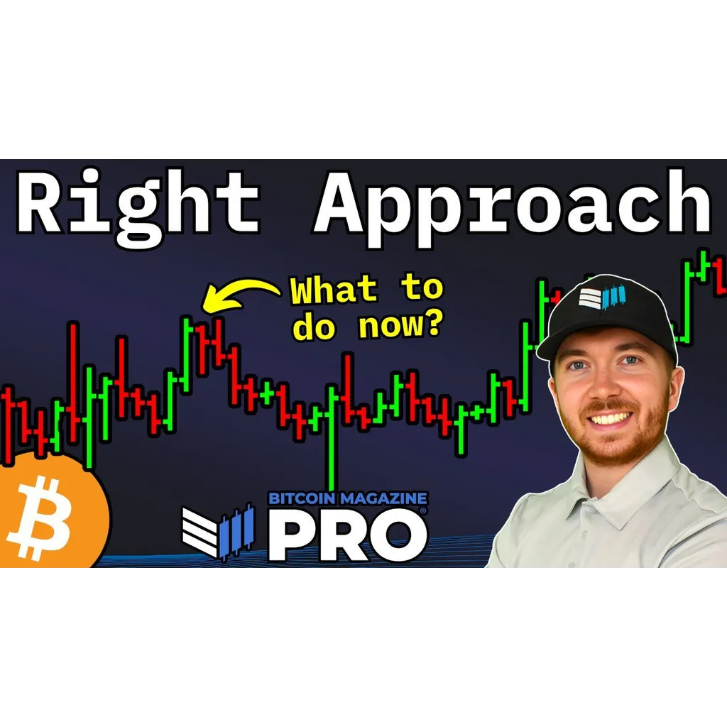 Bitcoin price movement analyzed as a potential dip or new bear market Bitcoin price movement analyzed as a potential dip or new bear market
