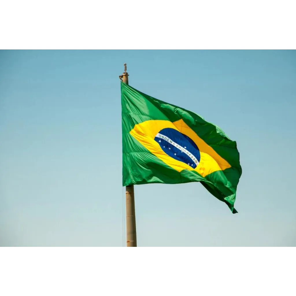 Brazil’s gen Z drives crypto boom as stablecoins, income tokens surge Brazil’s gen Z drives crypto boom as stablecoins, income tokens surge