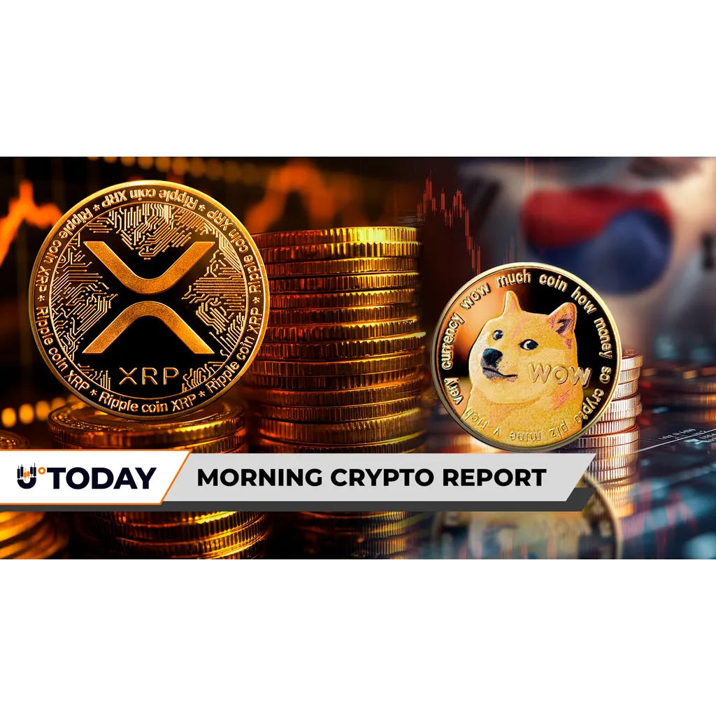 XRP Eyes alt= XRP Eyes alt=