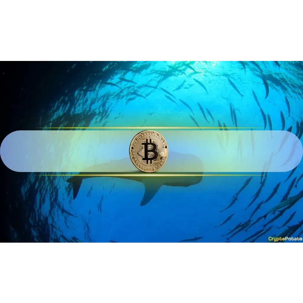 Whales Move Big: Binance Sees 4,500 BTC Withdrawn and 0M Stablecoin Inflows Whales Move Big: Binance Sees 4,500 BTC Withdrawn and 0M Stablecoin Inflows