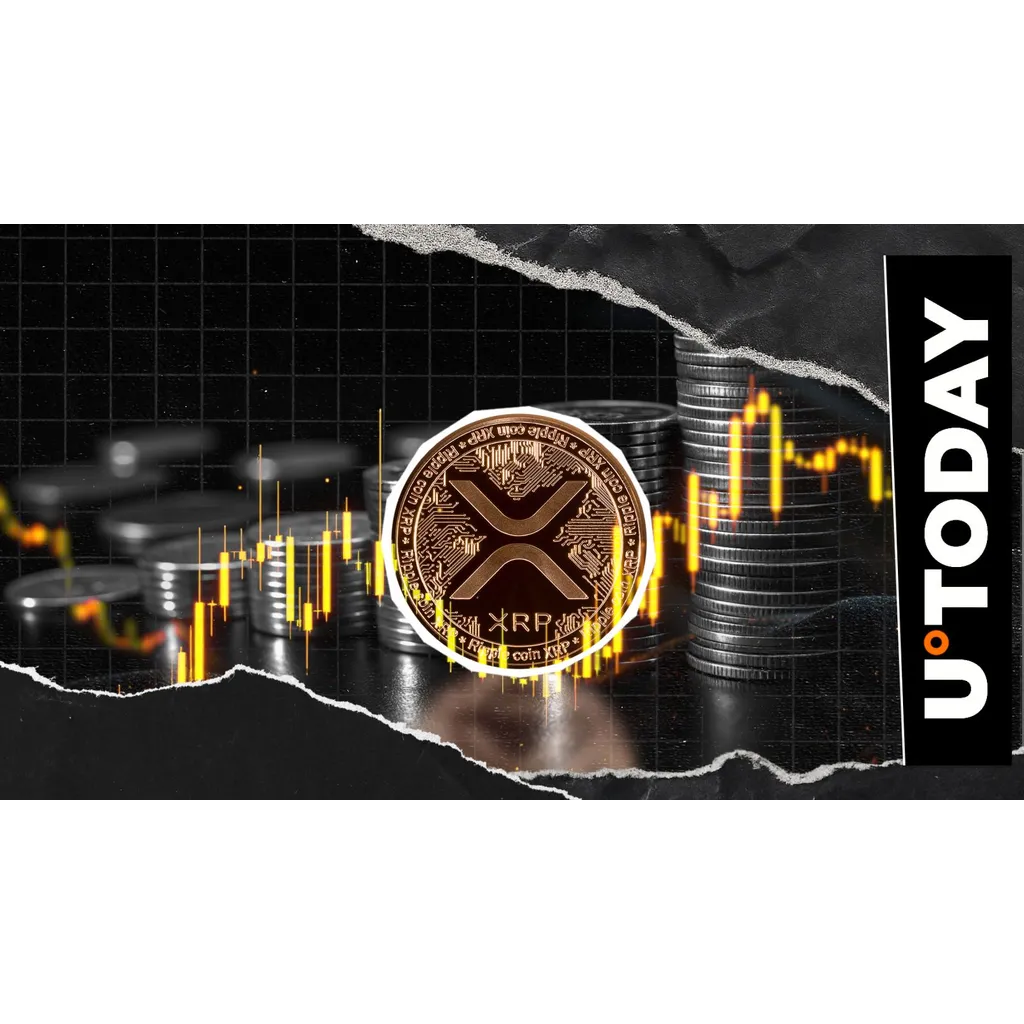 XRP price speculation and hidden key recovery questions discussed XRP price speculation and hidden key recovery questions discussed