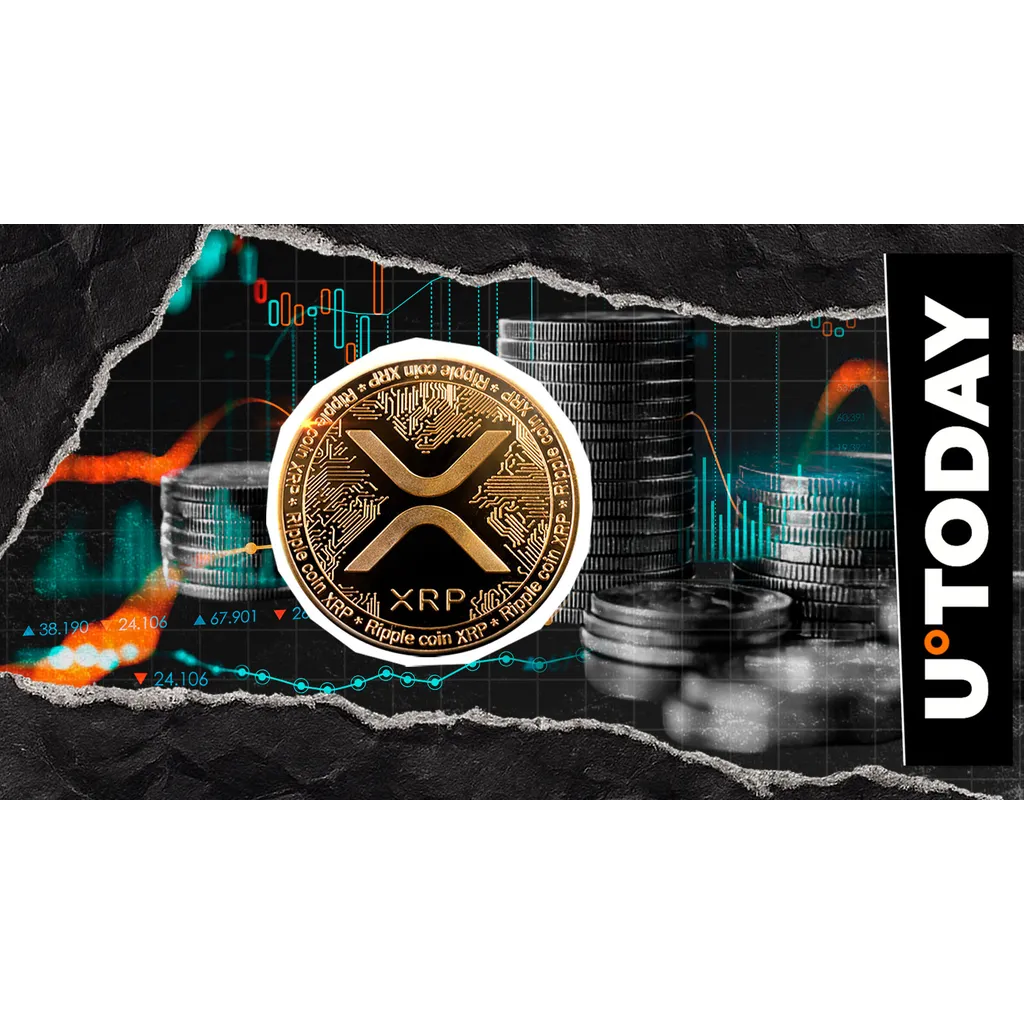 XRP shows either dead cat bounce pattern or recovery attempt according to analysis XRP shows either dead cat bounce pattern or recovery attempt according to analysis