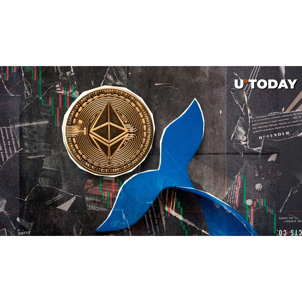 Ethereum whale addresses fell 12% in 2023 amid DeFi growth Ethereum whale addresses fell 12% in 2023 amid DeFi growth