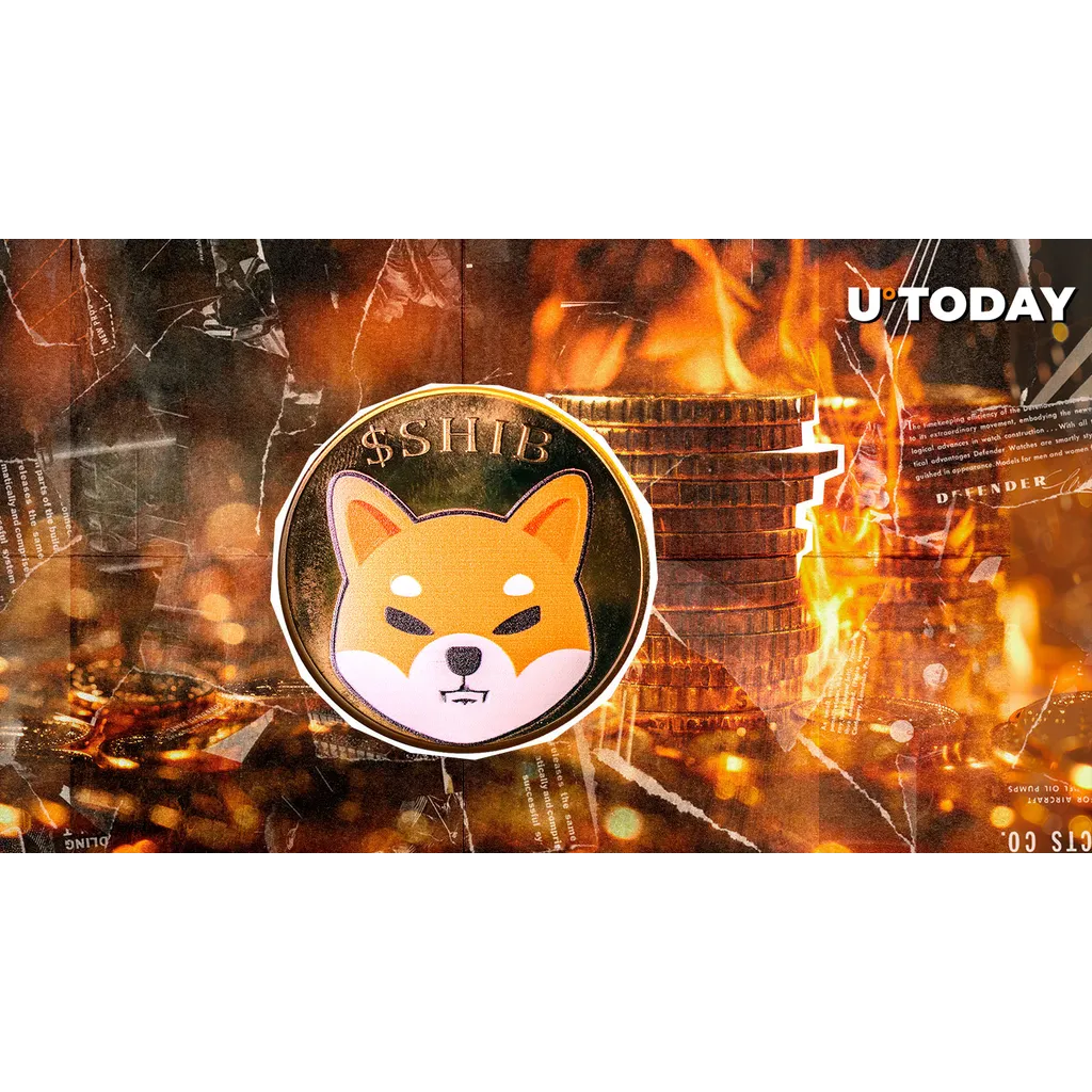 Shiba Inu burns 43 million tokens as metric rises 27014 percent Shiba Inu burns 43 million tokens as metric rises 27014 percent