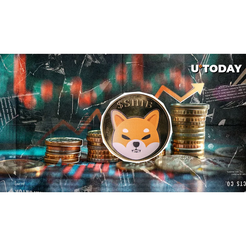 Zero Removal Canceled, Bulls Return Zero Removal Canceled, Bulls Return
