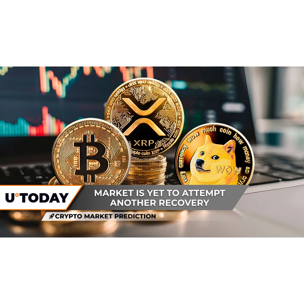 Bitcoin prediction for 0000, XRP lost , Dogecoin crash Bitcoin prediction for 0000, XRP lost , Dogecoin crash