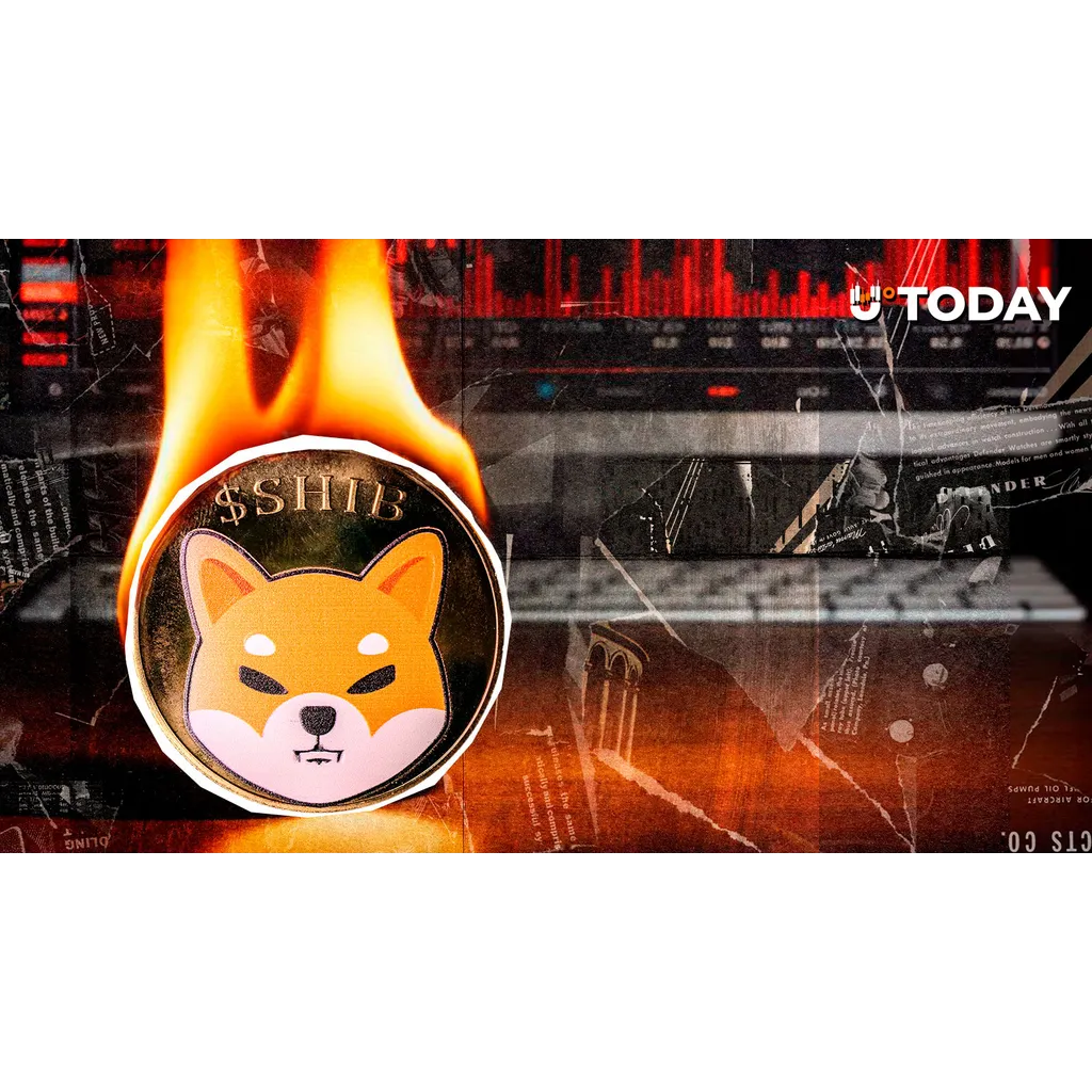 Thirty two million SHIB tokens burned over seven day period Thirty two million SHIB tokens burned over seven day period