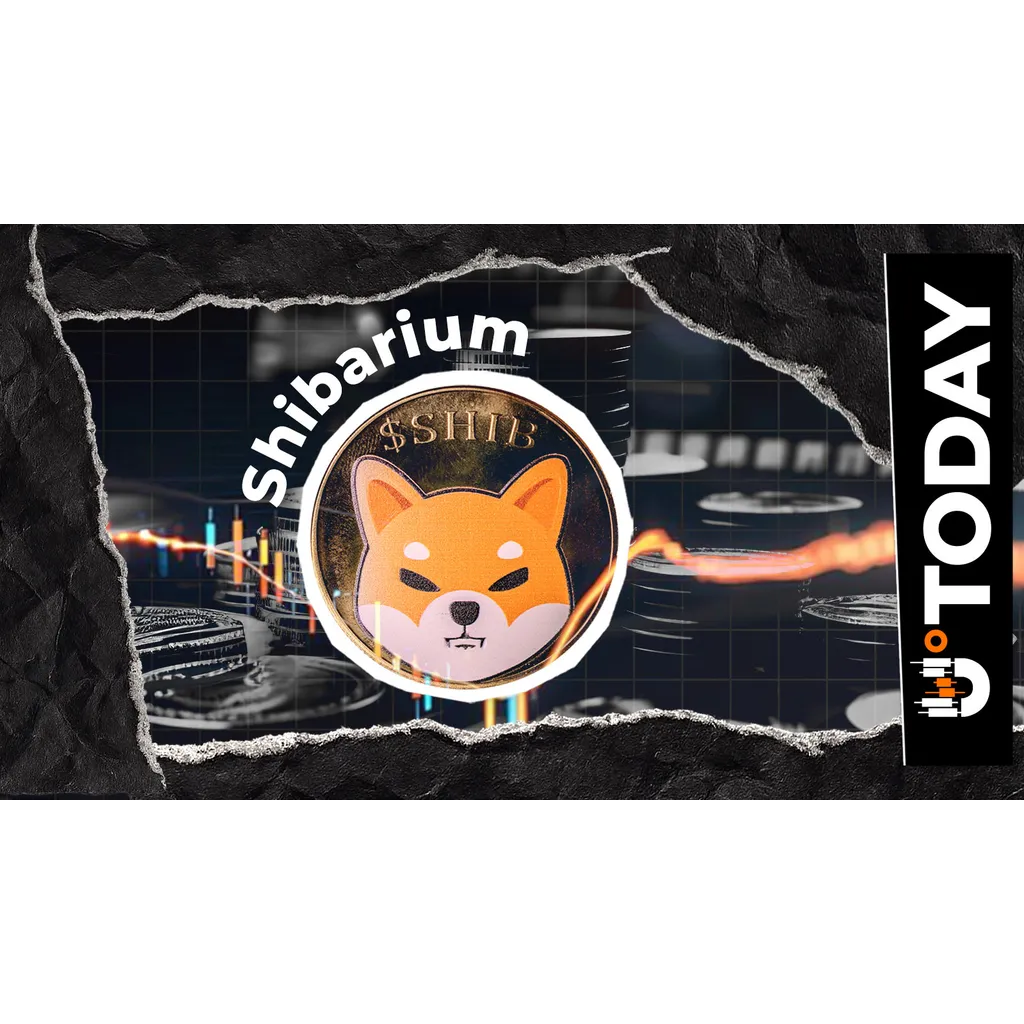 Shibarium Update: Essential Infrastructure Changes Issued to SHIB Community Shibarium Update: Essential Infrastructure Changes Issued to SHIB Community
