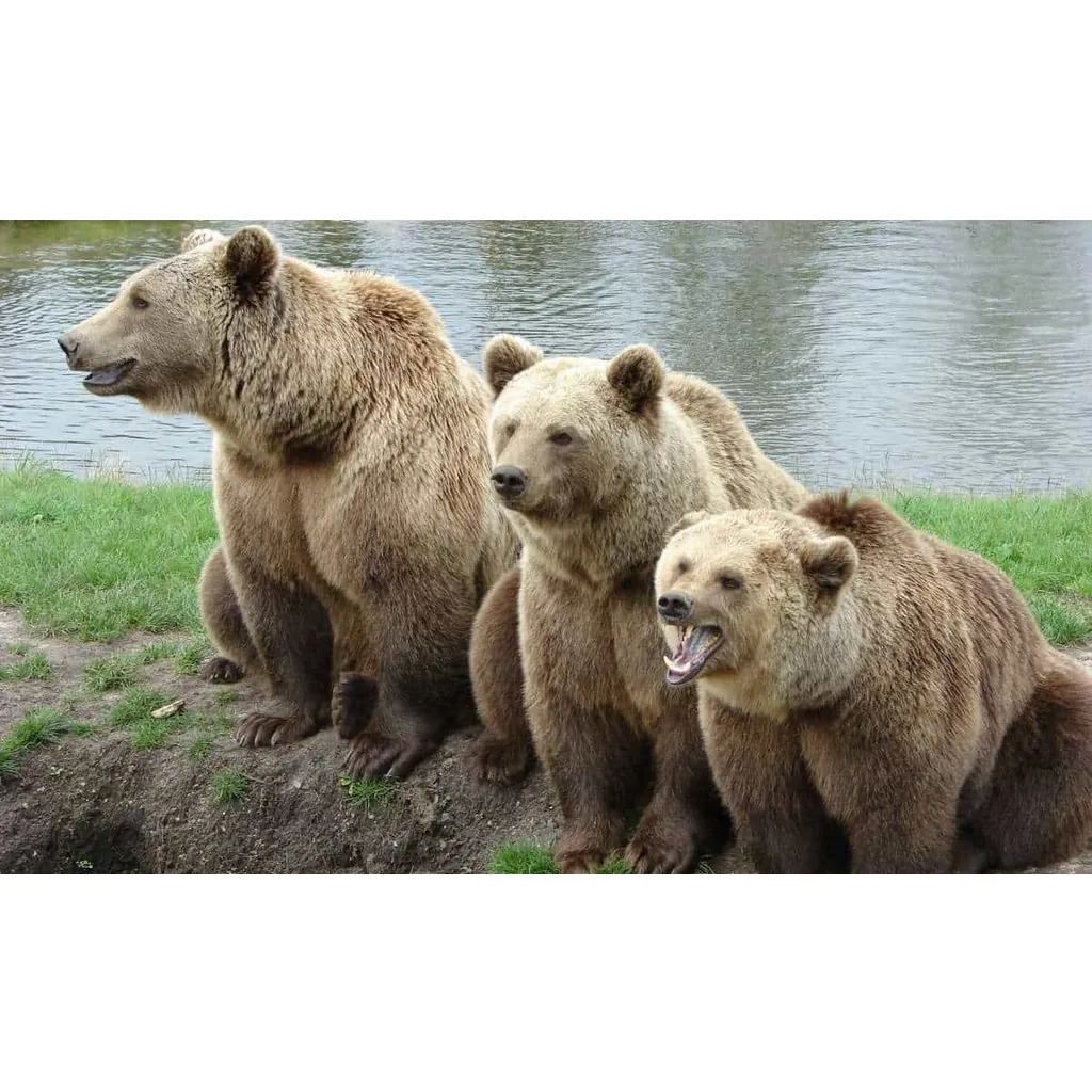 CryptoQuant Breaks Down Current Bear Market Signals CryptoQuant Breaks Down Current Bear Market Signals