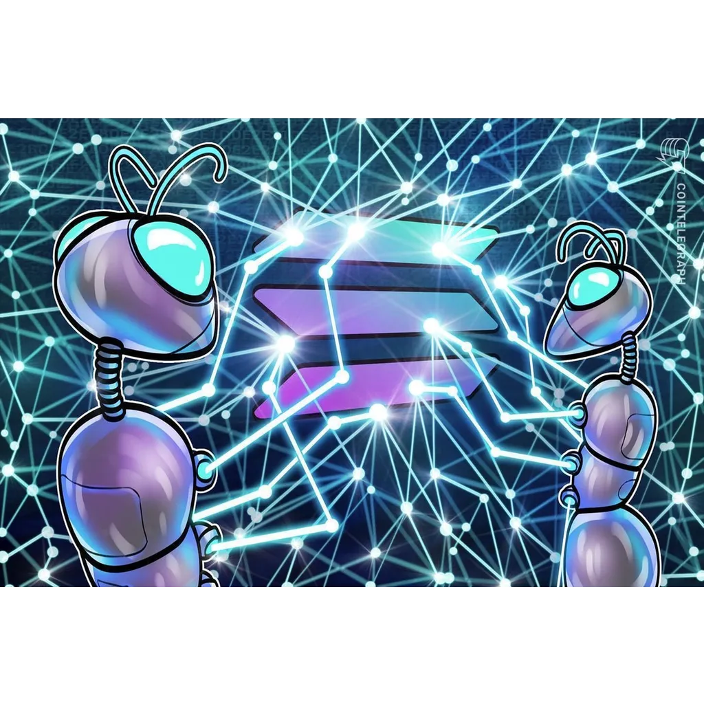 Solana decentralized exchanges need to build resilient markets for stability Solana decentralized exchanges need to build resilient markets for stability