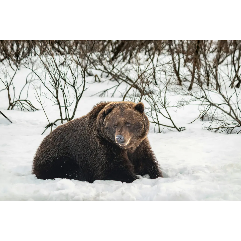 Bitcoin’s Bear Market Might Not Be New, Data Shows Bitcoin’s Bear Market Might Not Be New, Data Shows