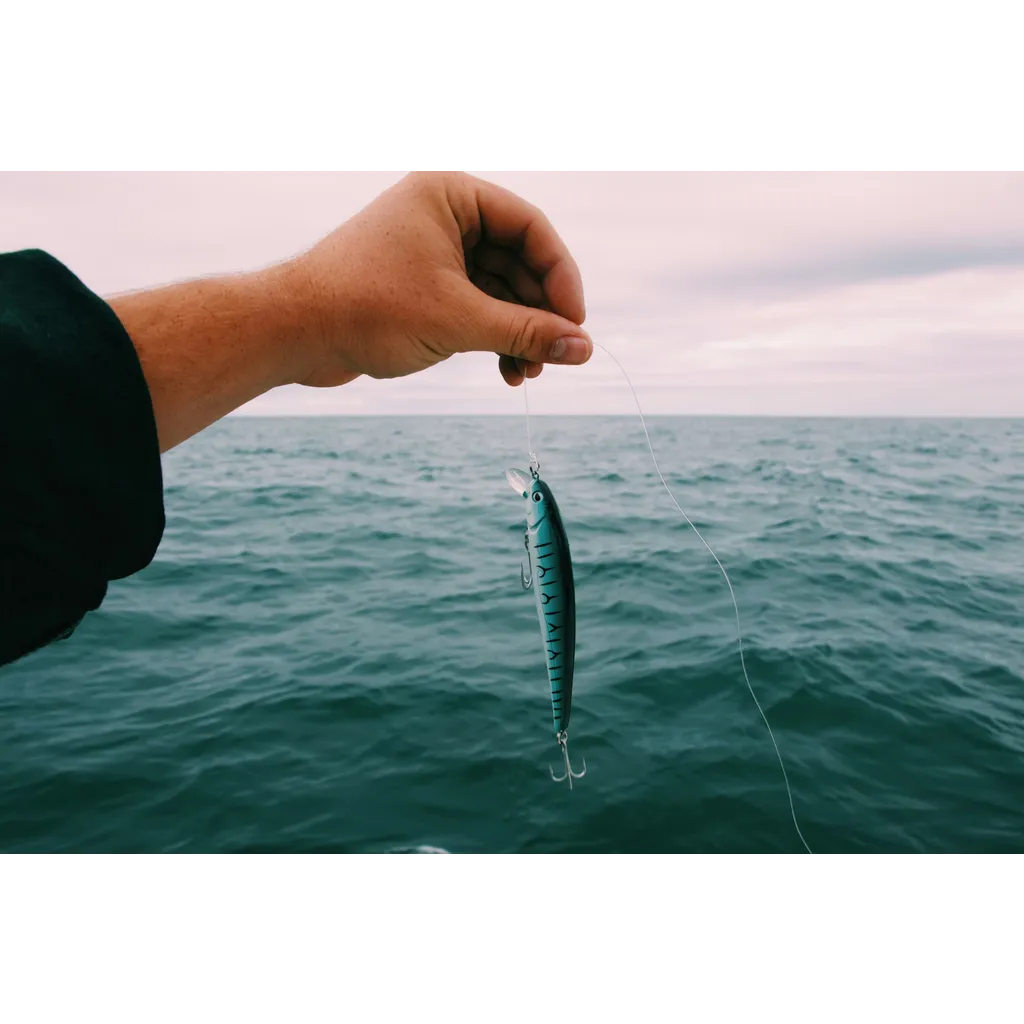 Global Authorities Move Against Crypto Phishing, 20K Victims Revealed Global Authorities Move Against Crypto Phishing, 20K Victims Revealed